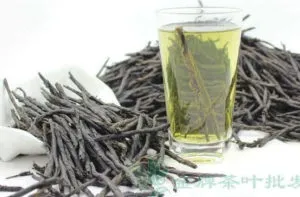 Чай кудін користь, протипоказання, рецепти для схуднення (кудін) Чай кудін користь, протипоказання, рецепти для схуднення
