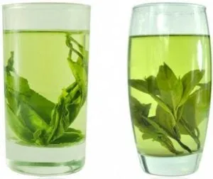 Чай кудін користь, протипоказання, рецепти для схуднення (користь) Чай кудін користь, протипоказання, рецепти для схуднення