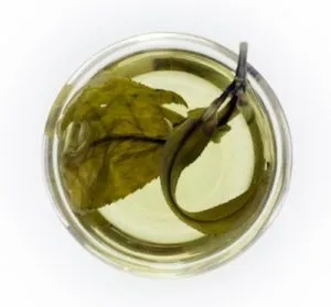 Чай кудін користь, протипоказання, рецепти для схуднення (користь) Чай кудін користь, протипоказання, рецепти для схуднення