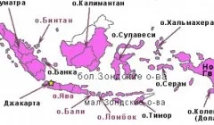 Що на латинській мові означає слово «вірус»