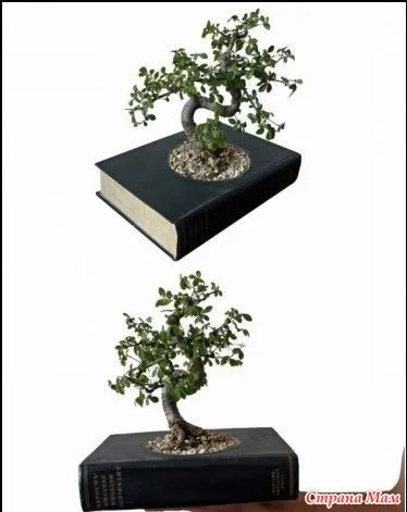 Що можна зробити зі старих книг нове життя старих речей! Країна мам (книг) Що можна зробити зі старих книг нове життя старих речей! Країна мам
