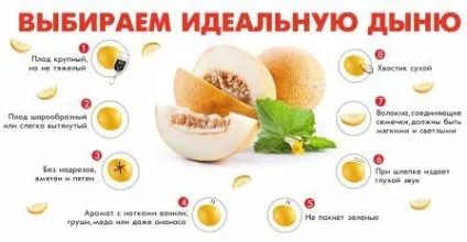 Що можна зробити з дині - смачні рецепти (дині) Що можна зробити з дині - смачні рецепти