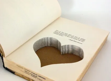 Що можна зробити з книг, які шкода викинути (які) Що можна зробити з книг, які шкода викинути