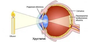 Що таке короткозорість і далекозорість і як їх відрізнити (відрізнити) Що таке короткозорість і далекозорість і як їх відрізнити