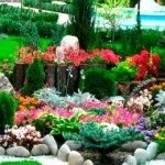 Дачні фігури з кущів і трави своїми руками (трави) Дачні фігури з кущів і трави своїми руками
