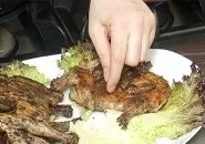 курчата тютюну