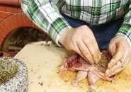 курчата тютюну