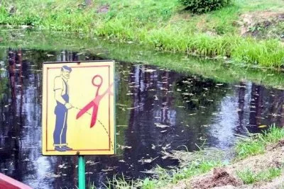 Цвітіння води, хто як бореться