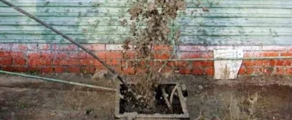 Дебіт свердловини як дізнатися точно (дебіт свердловини як дізнатися розгойдати) Дебіт свердловини як дізнатися точно