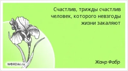Цитати з кота в чоботях - афоризми і вислови в картинках