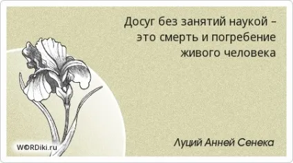 Цитати з кота в чоботях - афоризми і вислови в картинках