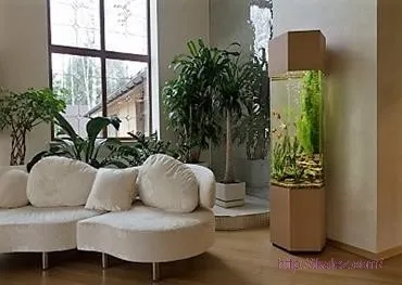 Декор і дизайн акваріума своїми руками (декор своїми руками) Декор і дизайн акваріума своїми руками
