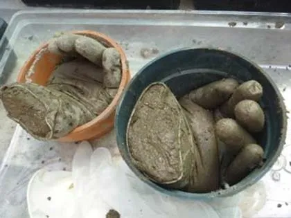 Робимо садові фігурки своїми руками три найпростіших варіанта