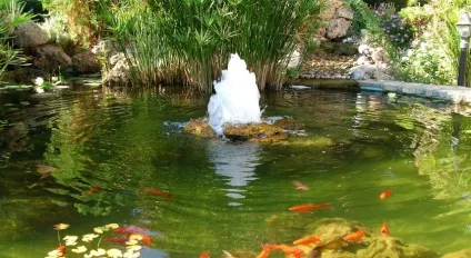 Декоративні фонтани і водоспади для дому (фонтани) Декоративні фонтани і водоспади для дому