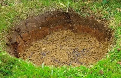 Декоративні фонтани і водоспади для дому (декоративні) Декоративні фонтани і водоспади для дому