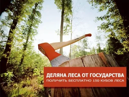 Деляна лісу на будівництво будинку (ліси) Деляна лісу на будівництво будинку