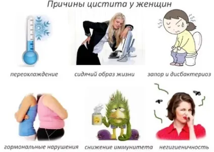 Дієта при циститі лікувальний меню, рекомендації лікарів (дієта цистит лікувальна меню відгуки результати) Дієта при циститі лікувальний меню, рекомендації лікарів