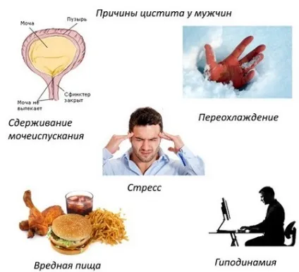Дієта при циститі лікувальний меню, рекомендації лікарів (дієта гострому циститі) Дієта при циститі лікувальний меню, рекомендації лікарів