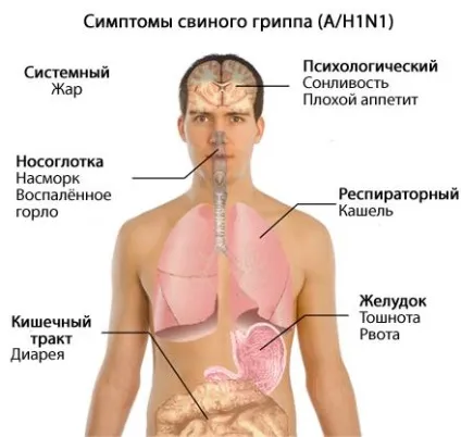 Дитячі ліки від застуди та грипу кращі, ефективні, народні список, самі, (ліки) Дитячі ліки від застуди та грипу кращі, ефективні, народні список, самі,