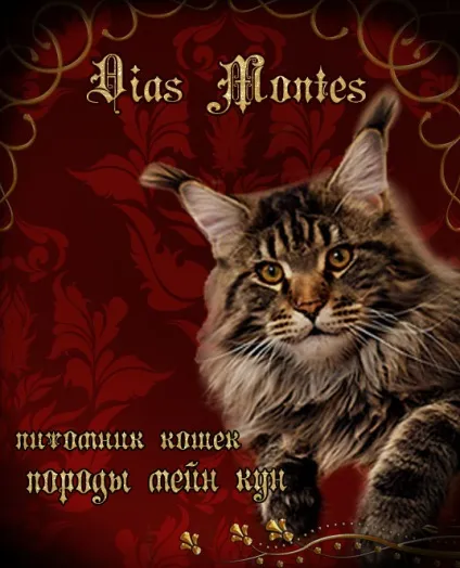 Dias montes