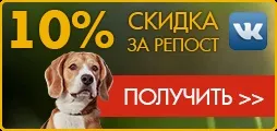 Дресирування собак з виїздом кінолога на будинок в Москві і області, курси дресирування з виїздом на будинок (виїздом) Дресирування собак з виїздом кінолога на будинок в Москві і області, курси дресирування з виїздом на будинок