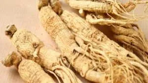 Для чого застосовують корінь женьшеню в народній медицині (як приготувати женьшень) Для чого застосовують корінь женьшеню в народній медицині