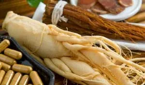 Для чого застосовують корінь женьшеню в народній медицині (корінь женьшеню) Для чого застосовують корінь женьшеню в народній медицині
