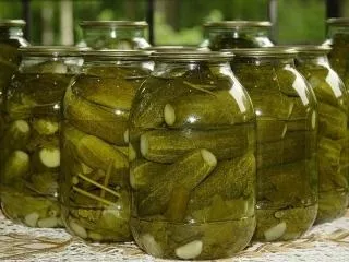 Домашні заготовки огірків з Новомосковсктельскіх рецептів (домашні) Домашні заготовки огірків з Новомосковсктельскіх рецептів