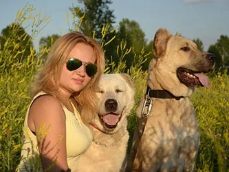 Дресирування собак з виїздом на будинок, ціна - 1600! Тисни
