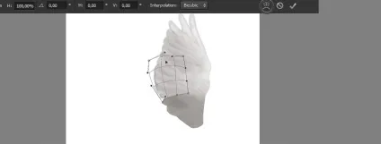 Додаємо крила до поросяті в adobe photoshop (photoshop) Додаємо крила до поросяті в adobe photoshop