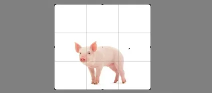 Додаємо крила до поросяті в adobe photoshop (photoshop) Додаємо крила до поросяті в adobe photoshop
