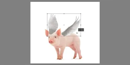 Додаємо крила до поросяті в adobe photoshop (photoshop) Додаємо крила до поросяті в adobe photoshop