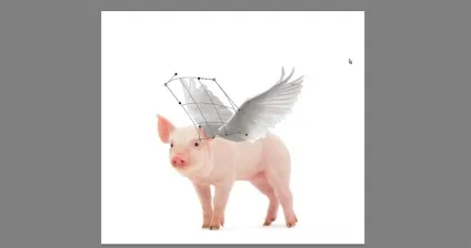Додаємо крила до поросяті в adobe photoshop (поросяті) Додаємо крила до поросяті в adobe photoshop