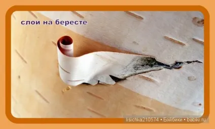 Два способи плетіння з берести (творчство) Два способи плетіння з берести