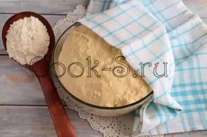 Дріжджове тісто на кислому молоці - покроковий рецепт з фото, випічка (дріжджового тіста кислому) Дріжджове тісто на кислому молоці - покроковий рецепт з фото, випічка