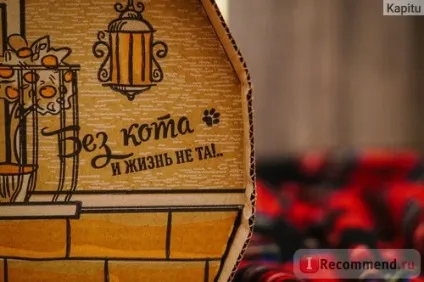 Будиночок для кішки кіт картоновіч лісове пригода - «кіт будь прийти готовий в будинок, де люблять все (картоновіч) Будиночок для кішки кіт картоновіч лісове пригода - «кіт будь прийти готовий в будинок, де люблять все
