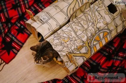 Будиночок для кішки кіт картоновіч лісове пригода - «кіт будь прийти готовий в будинок, де люблять все (будиночок) Будиночок для кішки кіт картоновіч лісове пригода - «кіт будь прийти готовий в будинок, де люблять все
