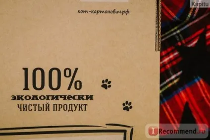 Будиночок для кішки кіт картоновіч лісове пригода - «кіт будь прийти готовий в будинок, де люблять все (пригода) Будиночок для кішки кіт картоновіч лісове пригода - «кіт будь прийти готовий в будинок, де люблять все