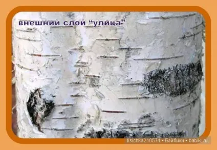 Два способи плетіння з берести (своїми руками) Два способи плетіння з берести