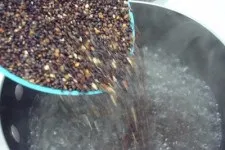 Ефірні масла «ботаніка» відгуки з офіційного сайту (ефірні) Ефірні масла «ботаніка» відгуки з офіційного сайту