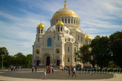 Їжа шкідливі і корисні продукти (продукти) Їжа шкідливі і корисні продукти