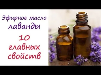 Ефірна олія лаванди склад, користь, лікування лавандовим маслом (шкіра) Ефірна олія лаванди склад, користь, лікування лавандовим маслом
