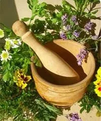 Корисна інформація - здоров'я - найдорожче, що дає нам природа (дає) Корисна інформація - здоров'я - найдорожче, що дає нам природа