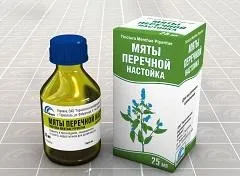 Користь і правила використання перцевої м'яти для волосся