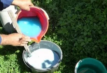 Напівдетермінантні сорти томатів для теплиць