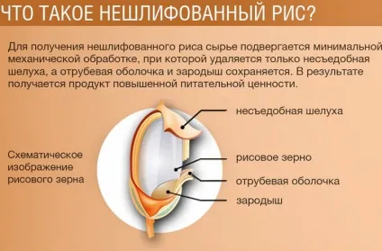 Користь і шкода нешліфований рису, як приготувати нешліфований рис для схуднення (рису) Користь і шкода нешліфований рису, як приготувати нешліфований рис для схуднення