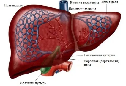 Показання до проведення МРТ стопи і гомілковостопного суглоба