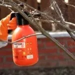 Фасадна штукатурка по пінопласту своїми руками (пінопласту) Фасадна штукатурка по пінопласту своїми руками