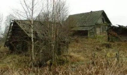 Федір сологуб біографія і творчість (фото)