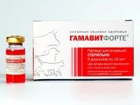Гамавит форте - інструкція для медичного застосування (застосування) Гамавит форте - інструкція для медичного застосування